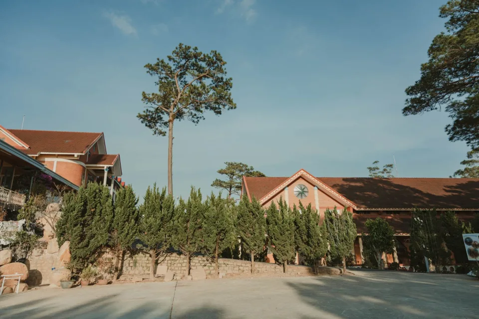 Tại Võ Đại Trường
